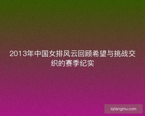2013年中国女排风云回顾希望与挑战交织的赛季纪实